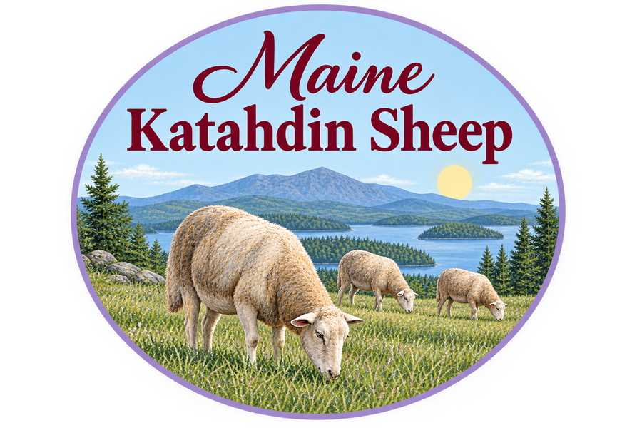 Katahdin Sheep Goods for Sale